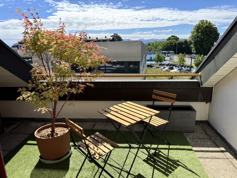Bel appartement de 4.5 pièces en rez de jardin (4)