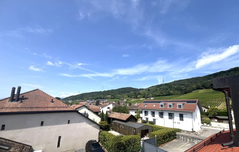Bel appartement de 2,5 pièces en attique avec balcon (1)