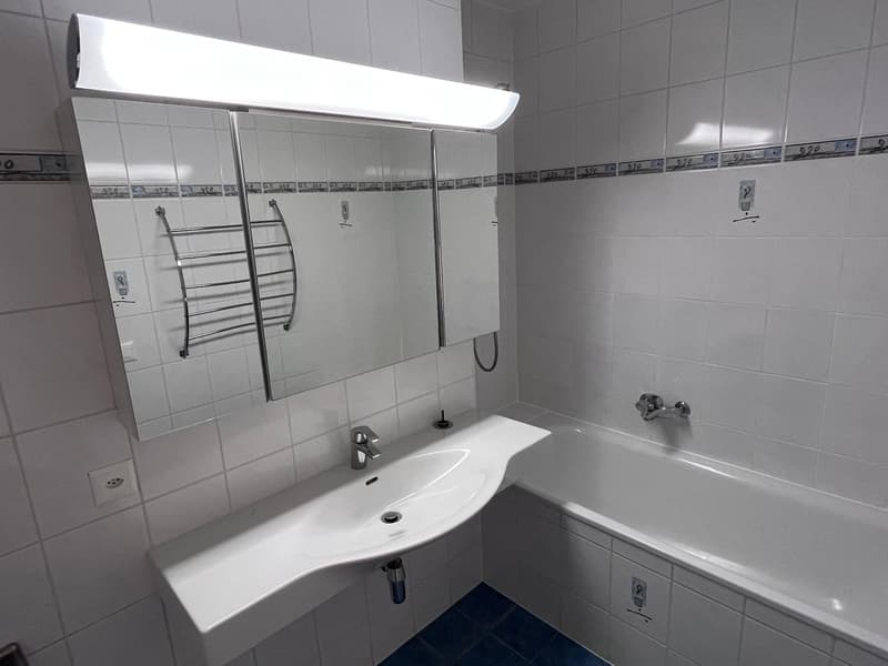 Appartement de 3.5 pièces avec balcon (6)
