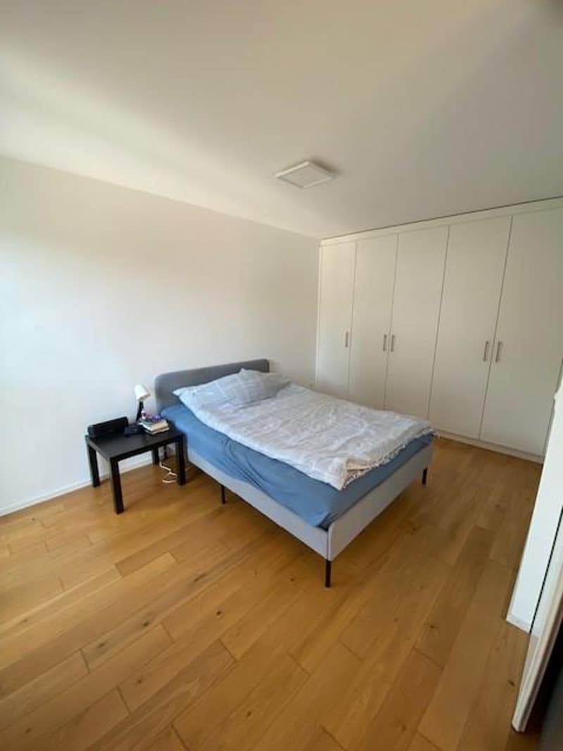 Bel appartement de 1.5 pièces (4)