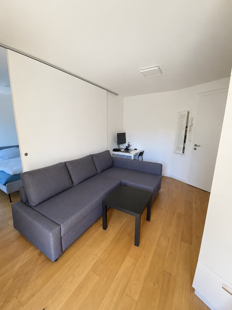 Bel appartement de 1.5 pièces (2)