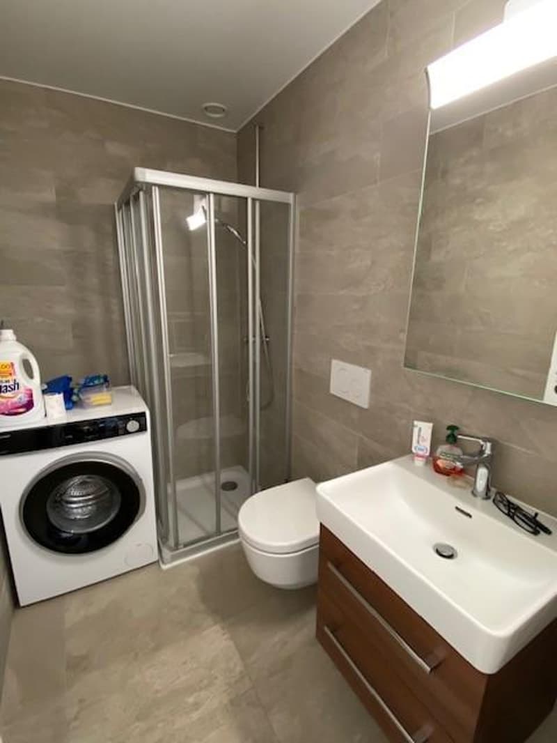 Bel appartement de 1.5 pièces (5)