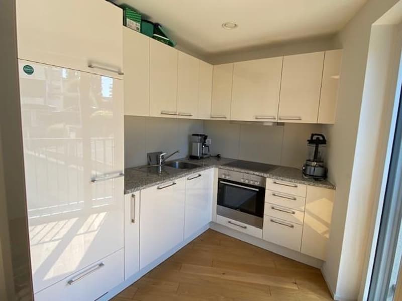 Bel appartement de 1.5 pièces (3)