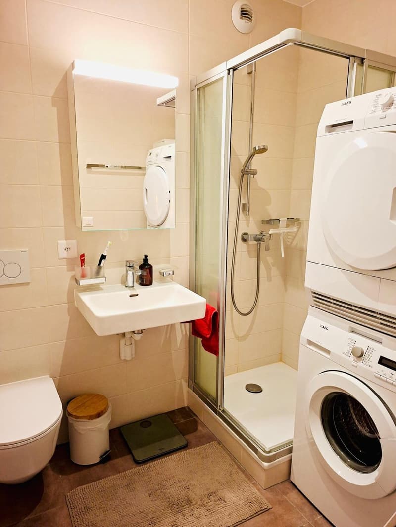Bel appartement meublé de 3.5 pièces avec balcon (8)