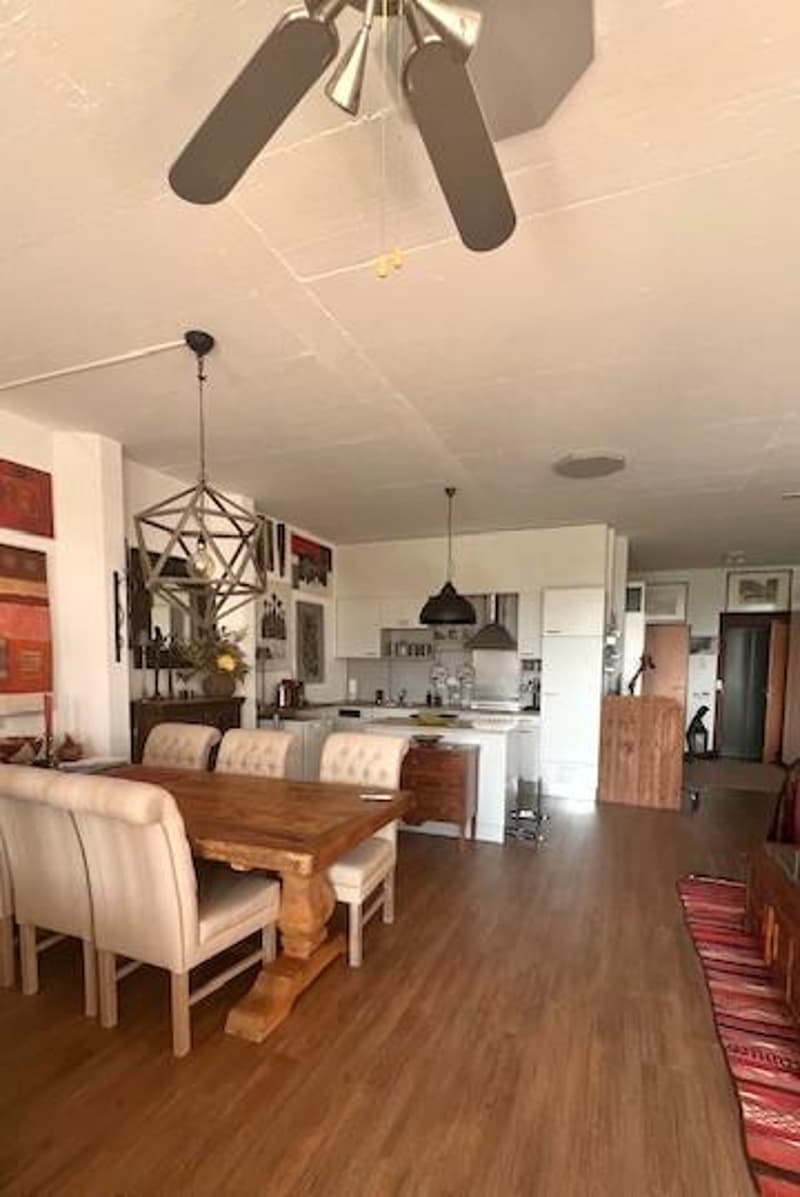 Magnifique loft avec vue dégagée (4)