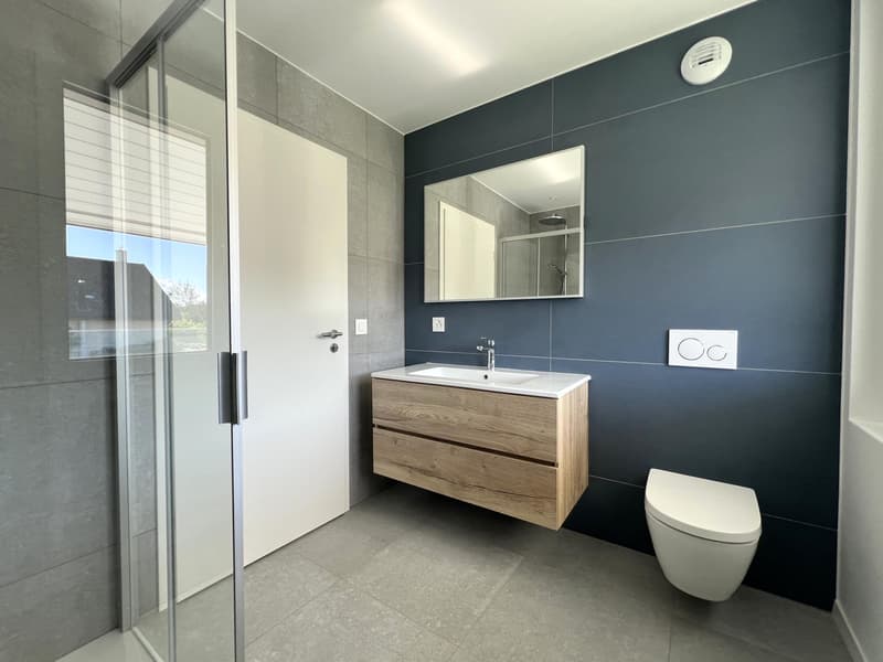 Magnifique maison jumelle neuve de 4.5 pièces avec grand jardin privatif (10)