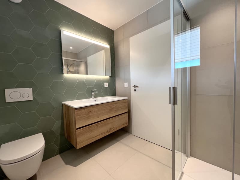 Magnifique maison jumelle neuve de 4.5 pièces avec grand jardin privatif (13)