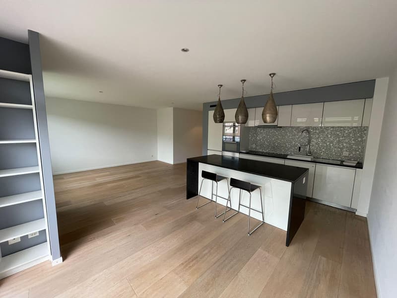 Magnifique appartement avec terrasse (2)