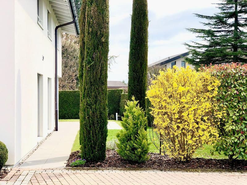 Charmante villa individuelle de 5.5 pièces (3)