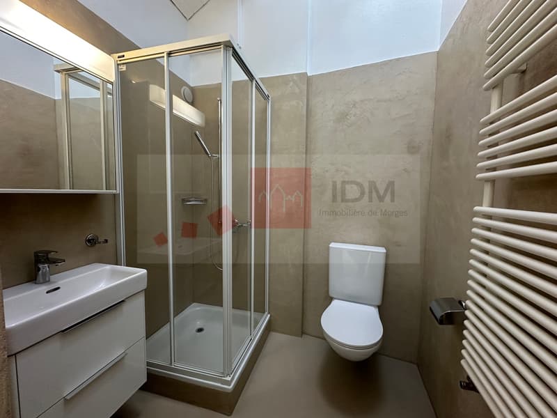 Appartement en loft à louer au centre-ville de Morges (7)