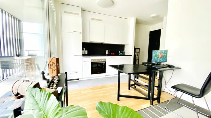 Studio au coeur de Prilly (2)