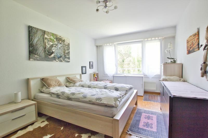 Bel appartement de 3 pièces rénové (7)