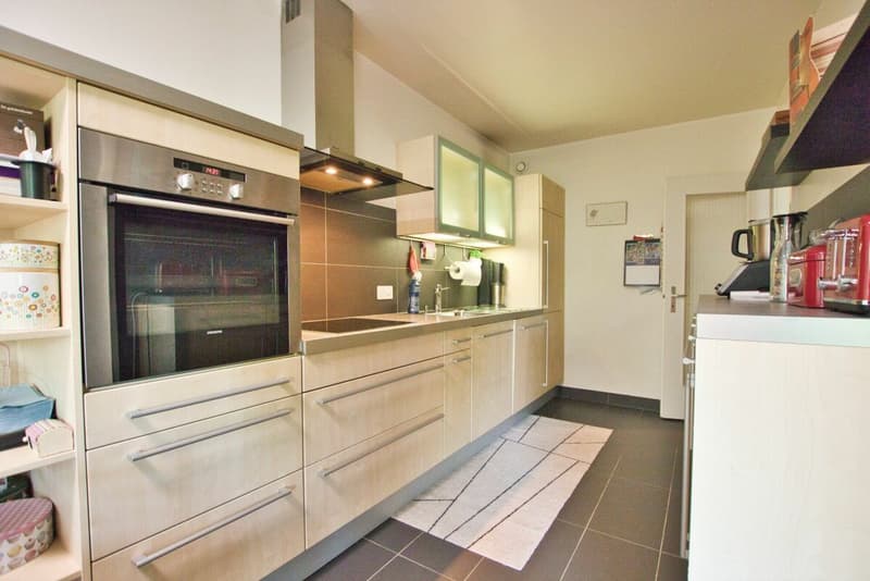 Bel appartement de 3 pièces rénové (4)