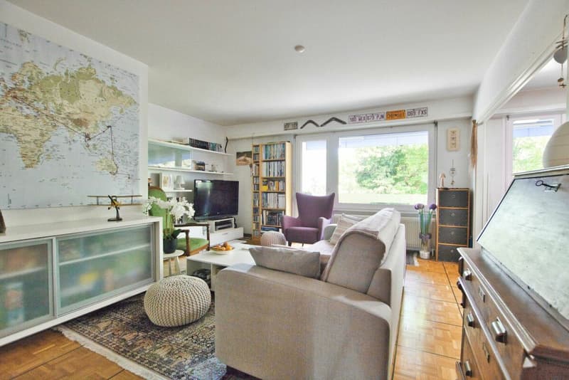 Bel appartement de 3 pièces rénové (2)