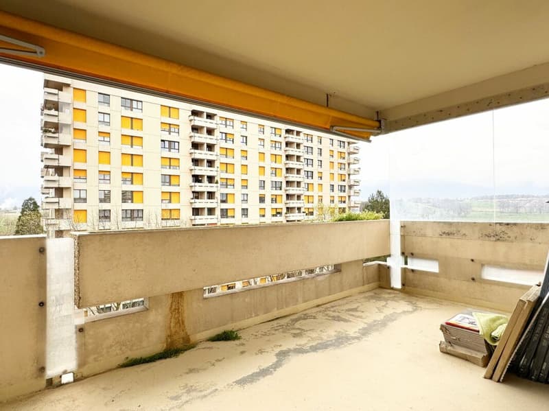 Appartement 6 pièces rénové à Meyrin (4)