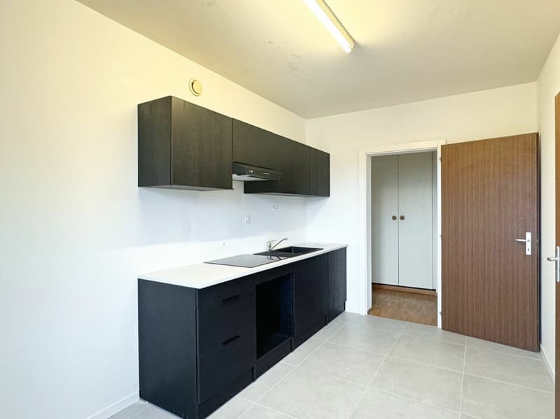 Appartement 6 pièces rénové à Meyrin (7)