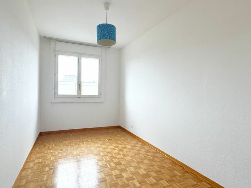 Appartement 6 pièces rénové à Meyrin (9)