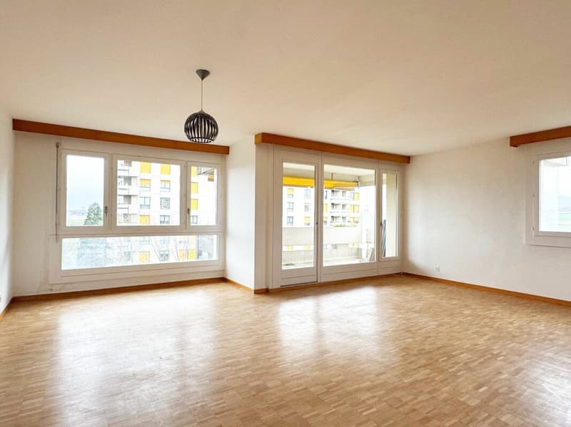 Appartement 6 pièces rénové à Meyrin (3)