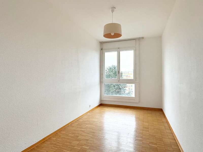 Appartement 6 pièces rénové à Meyrin (11)