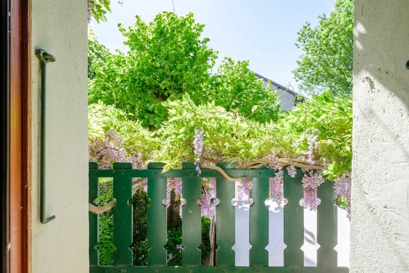 Maison de village de caractère avec jardin arborisé (6)