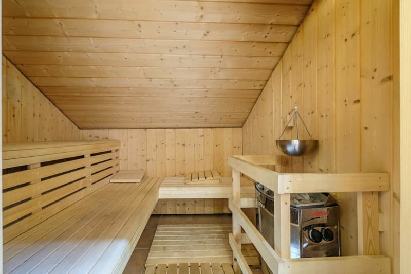 Maison avec beaucoup de charme au coeur de Laconnex (9)