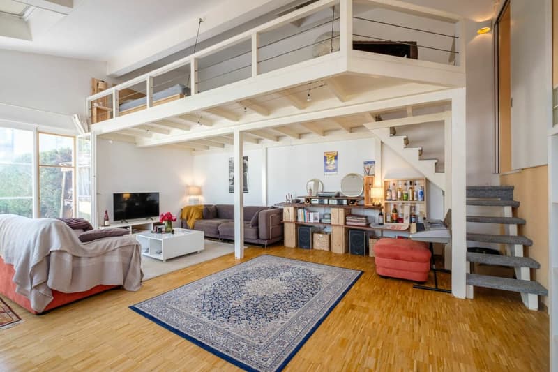 Belle Bâtisse du 16ème siècle sur parcelle de 1400 m2 (9)