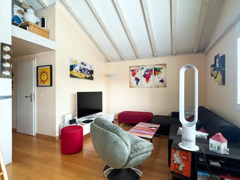 Maison mitoyenne de deux logements à Chambésy (10)