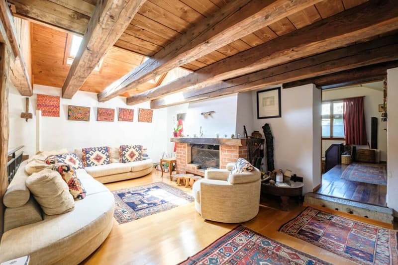 Maison de charme au coeur de Bernex (6)