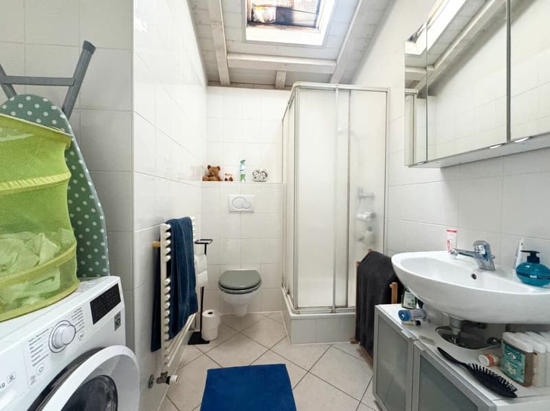 Maison mitoyenne de deux logements à Chambésy (14)