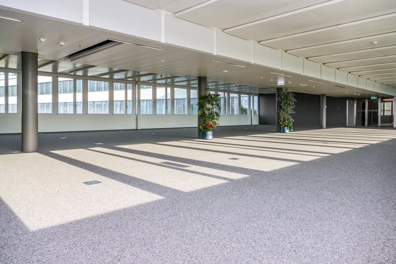 1'424 m2 - Magnifiques surfaces de bureaux à coté de Biopôle (3)