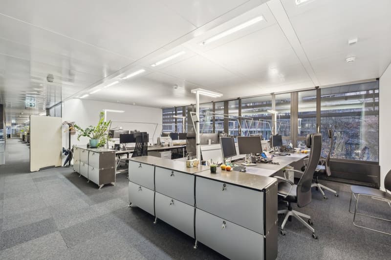 modern office setup, desks with computers, office chairs, cabinets, plants, and large windows