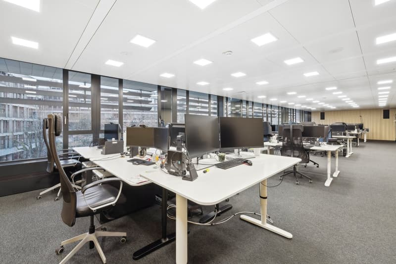 modern office with large windows, white walls and ceiling, carpet flooring, desks with computers, chairs