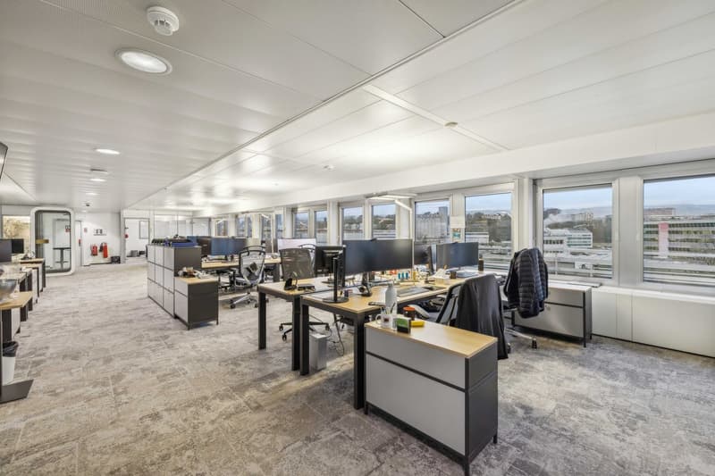 BUREAUX PLUG & WORK 1'830 m² | Quartier Pont Rouge (2)
