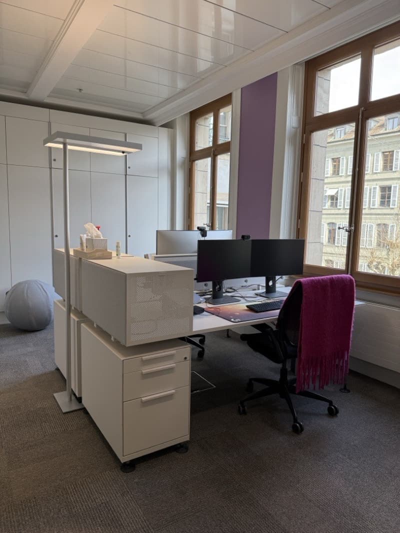 modern office with large windows, desk, two monitors, chair, carpeted floor, two cabinets, light, ball