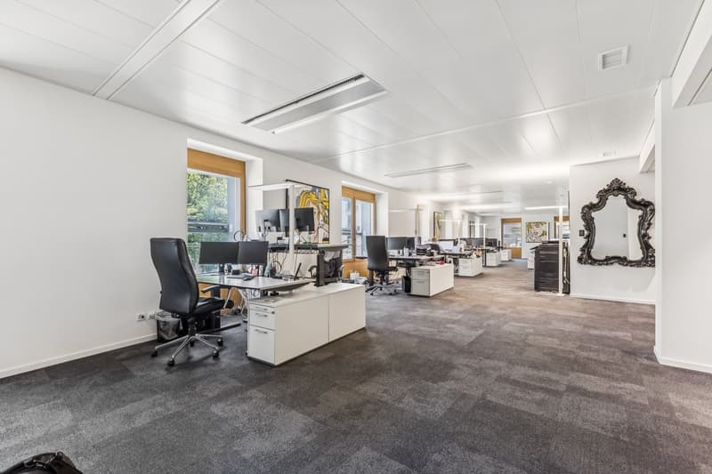 Bureaux aménagés de 465 m² – Rue du Mont-Blanc 7 (2)