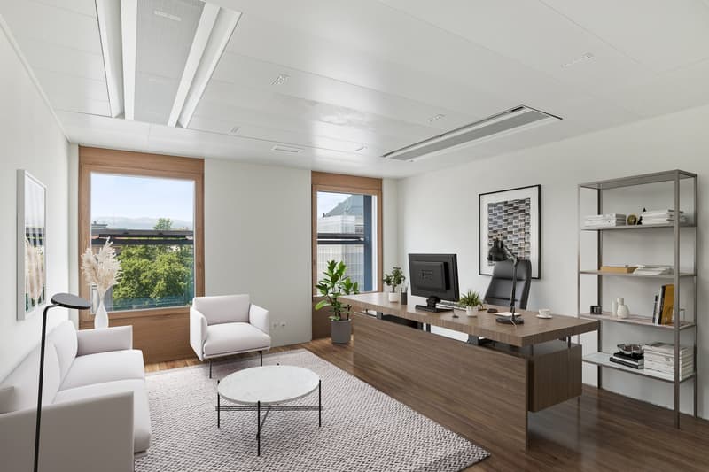Bureaux aménagés de 465 m2 – Rue du Mont-Blanc 7 (4)