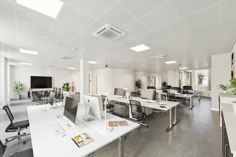Magnifiques bureaux de 247 m2 à la Rue du Port 4 (6)