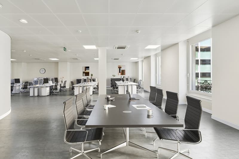 Magnifiques bureaux de 247 m2 à la Rue du Port 4 (5)