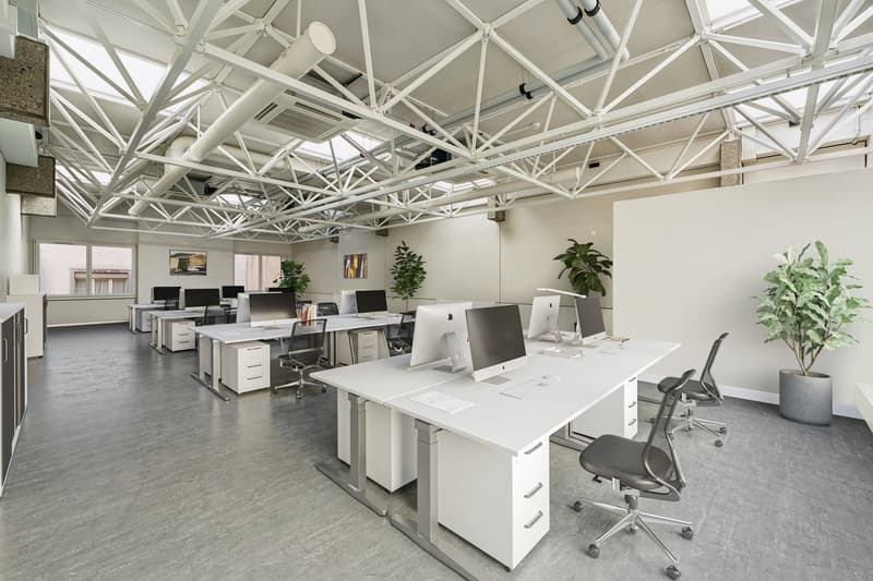 Magnifiques bureaux de 247 m2 à la Rue du Port 4 (7)