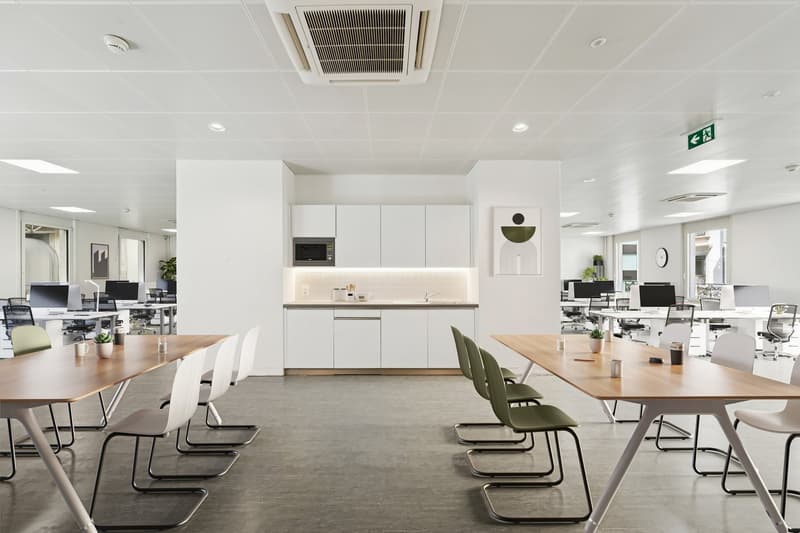 Magnifiques bureaux de 247 m2 à la Rue du Port 4 (4)