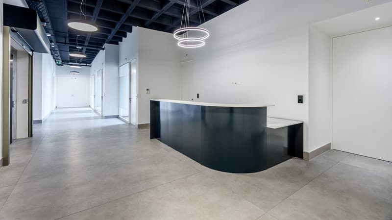 Espace de bureaux premium 655 m² - Cœur du quartier des Nations Unies (2)