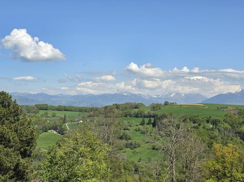 Chalet de standing avec vue dégagée et jardin - La Muraz (10)