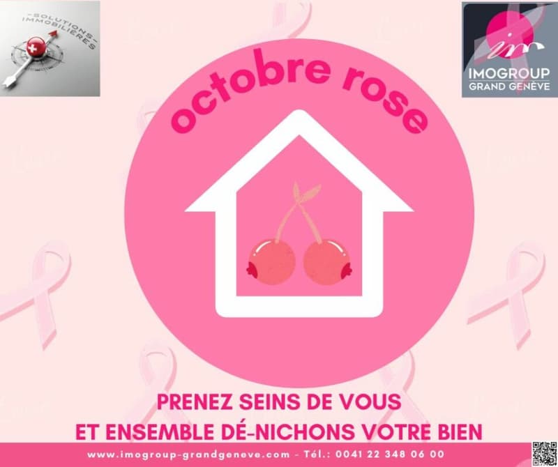 Maison 6 pièces - 74100 Ville-la-Grand (13)