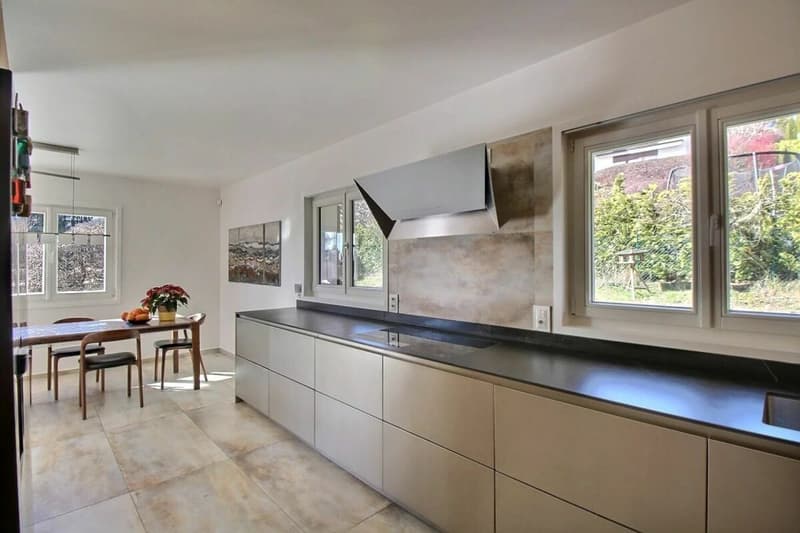 villa rénovée avec jacuzzi et sauna - magnifique jardin avec vue sur le lac et Mont-Blanc (11)