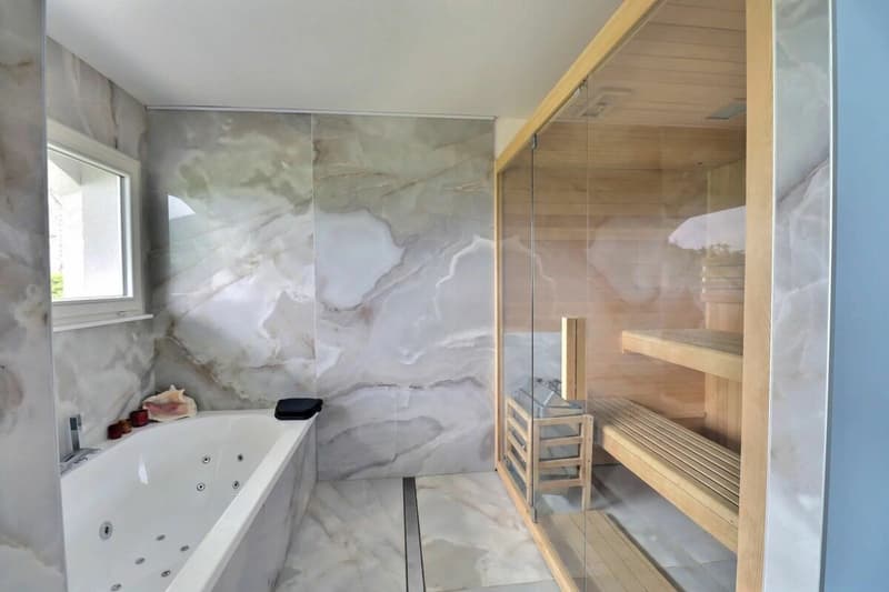 villa rénovée avec jacuzzi et sauna - magnifique jardin avec vue sur le lac et Mont-Blanc (4)