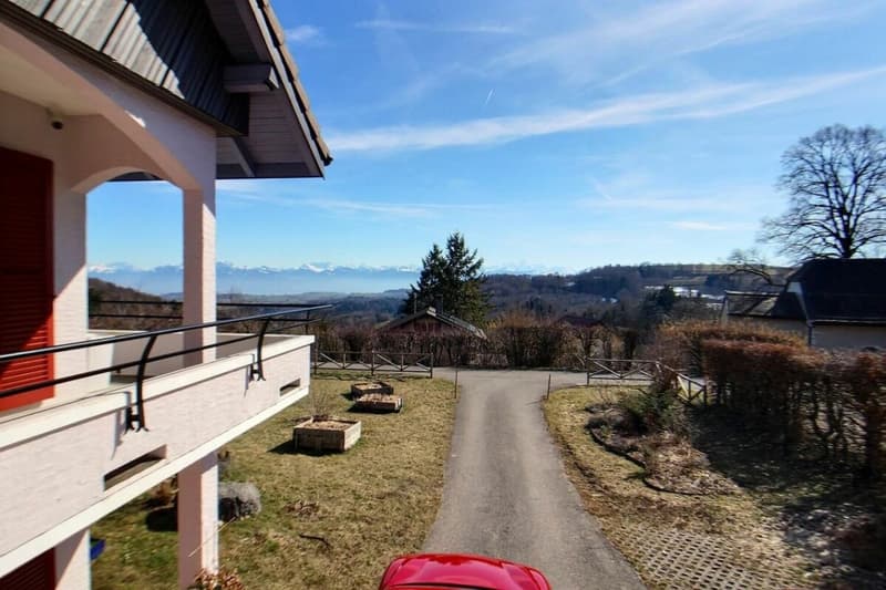villa rénovée avec jacuzzi et sauna - magnifique jardin avec vue sur le lac et Mont-Blanc (12)
