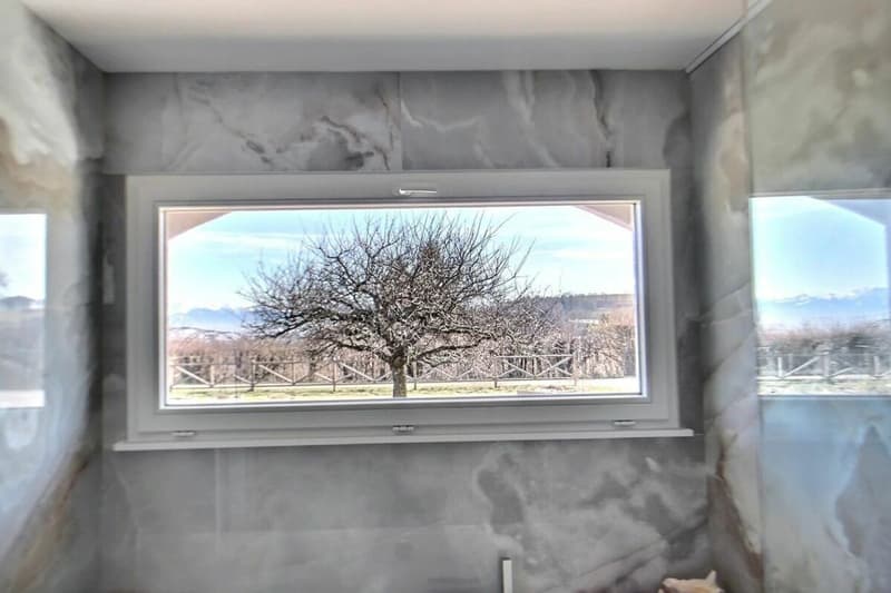 villa rénovée avec jacuzzi et sauna - magnifique jardin avec vue sur le lac et Mont-Blanc (7)