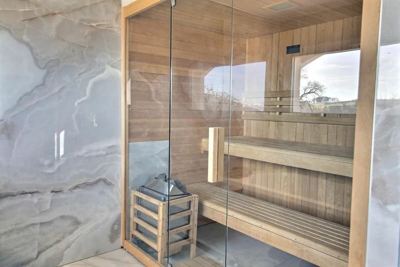 villa rénovée avec jacuzzi et sauna - magnifique jardin avec vue sur le lac et Mont-Blanc (6)