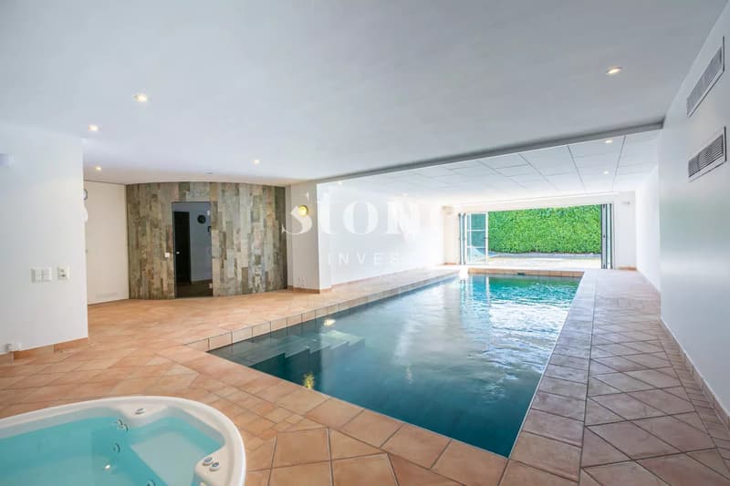 Spacieuse villa de maître avec vue sur le lac et SPA privatif (1)