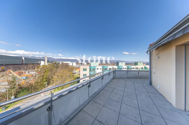 Lumineux attique avec terrasse (12)